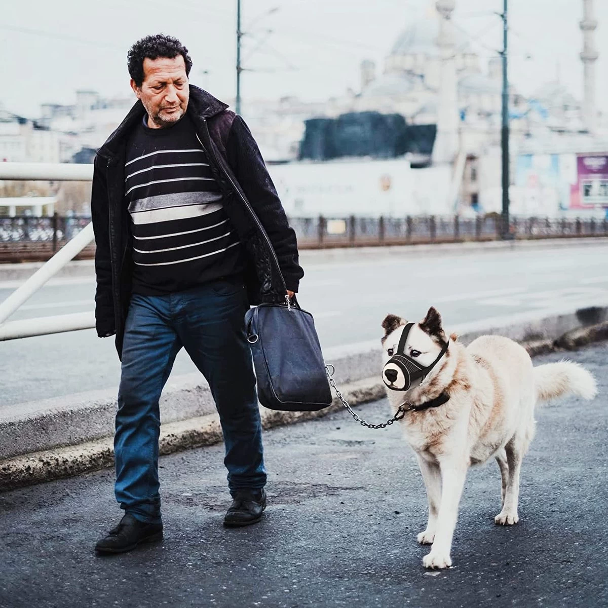 Merkloos Hoog Kwaliteit Muilkorf Met Bedrukt Patroon - Muilkorf Hond - Hondensnuit - Anti Blaf En Bijt - Voor Kleine En Grote Honden Maat M Zwart Reflecterend - Afbeelding 6