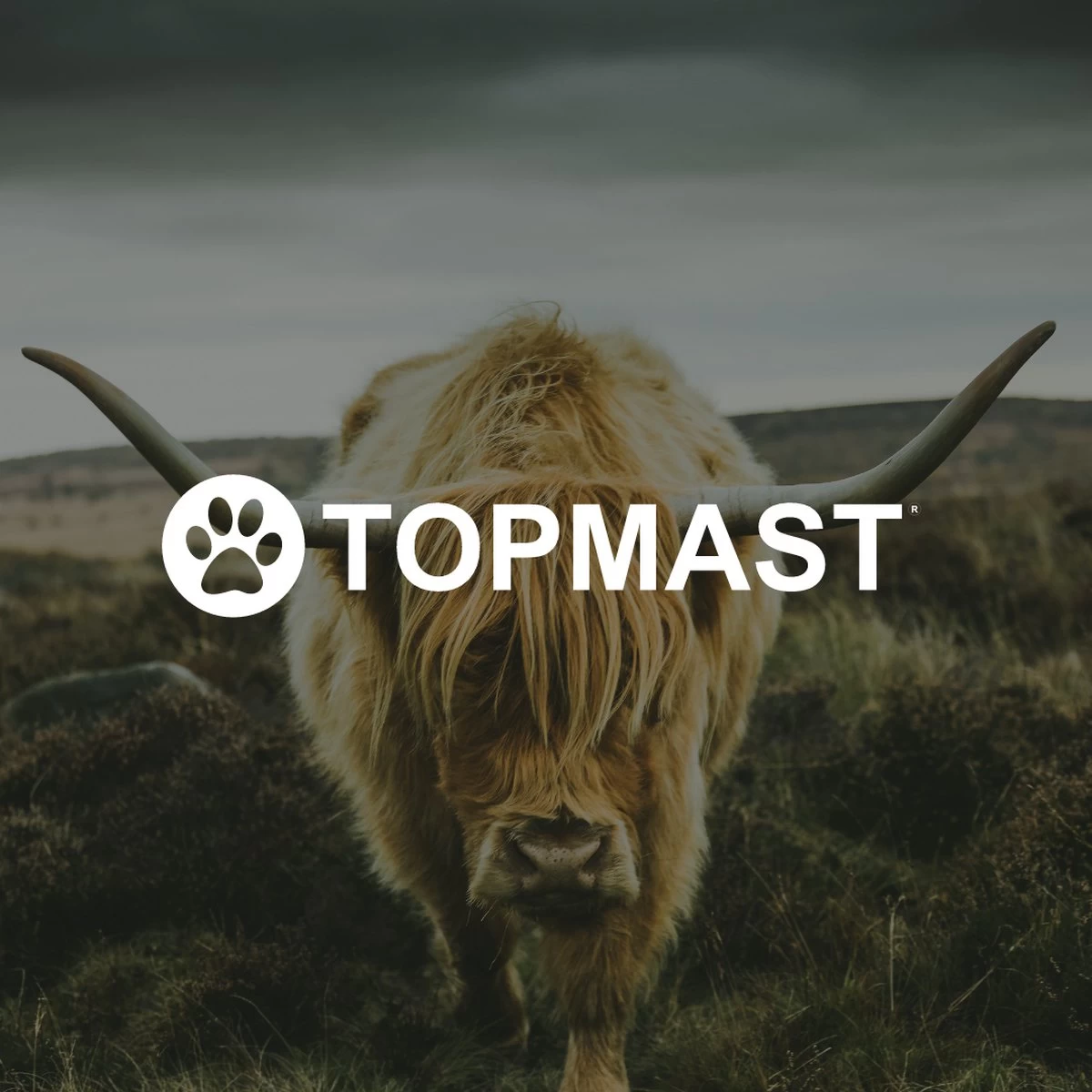 Yak Kaas Hondensnacks - 8 Stuks - 100% Natuurlijk - XS - 20-40 Gram - Kauwstaaf - Kauwbot - Voor De Hond - Afbeelding 6