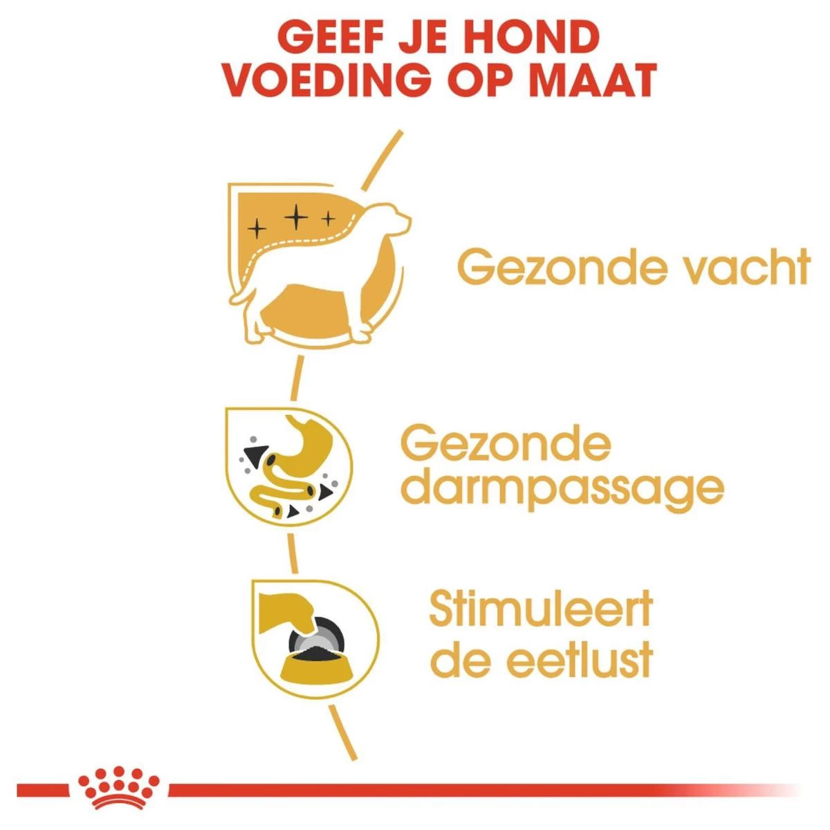 Royal Canin Chihuahua Pouch (12X85 GR) - Afbeelding 4