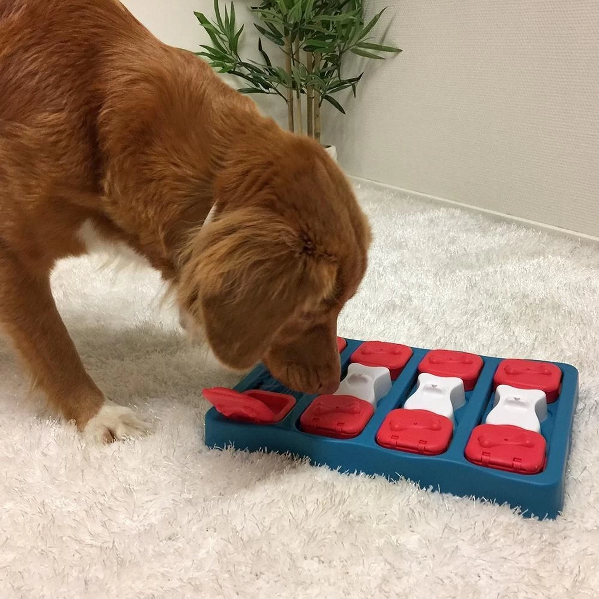 Nina Ottosson - Hondenspel - Dog Brick - Afbeelding 4