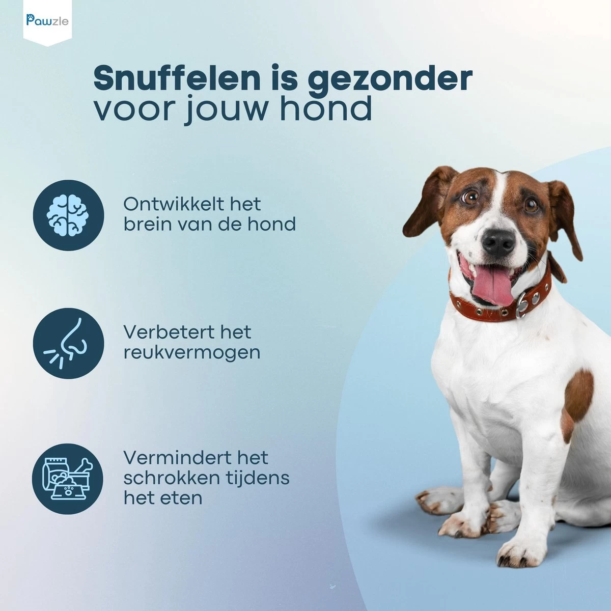 Pawzle Snuffelmat Hond - Likmat - Anti Schrokbak - Honden Speelgoed Intelligentie - Puppy - Inclusief Speelbal - 50x50cm - Blauw - Afbeelding 6