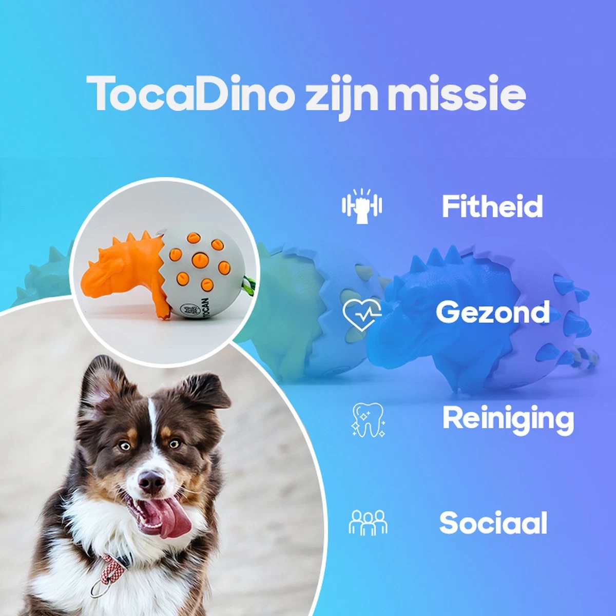 TocaDino - Kauwspeelgoed - Honden - Speelgoed Voor Honden - Reiniging - Dental - Blauw - Afbeelding 5