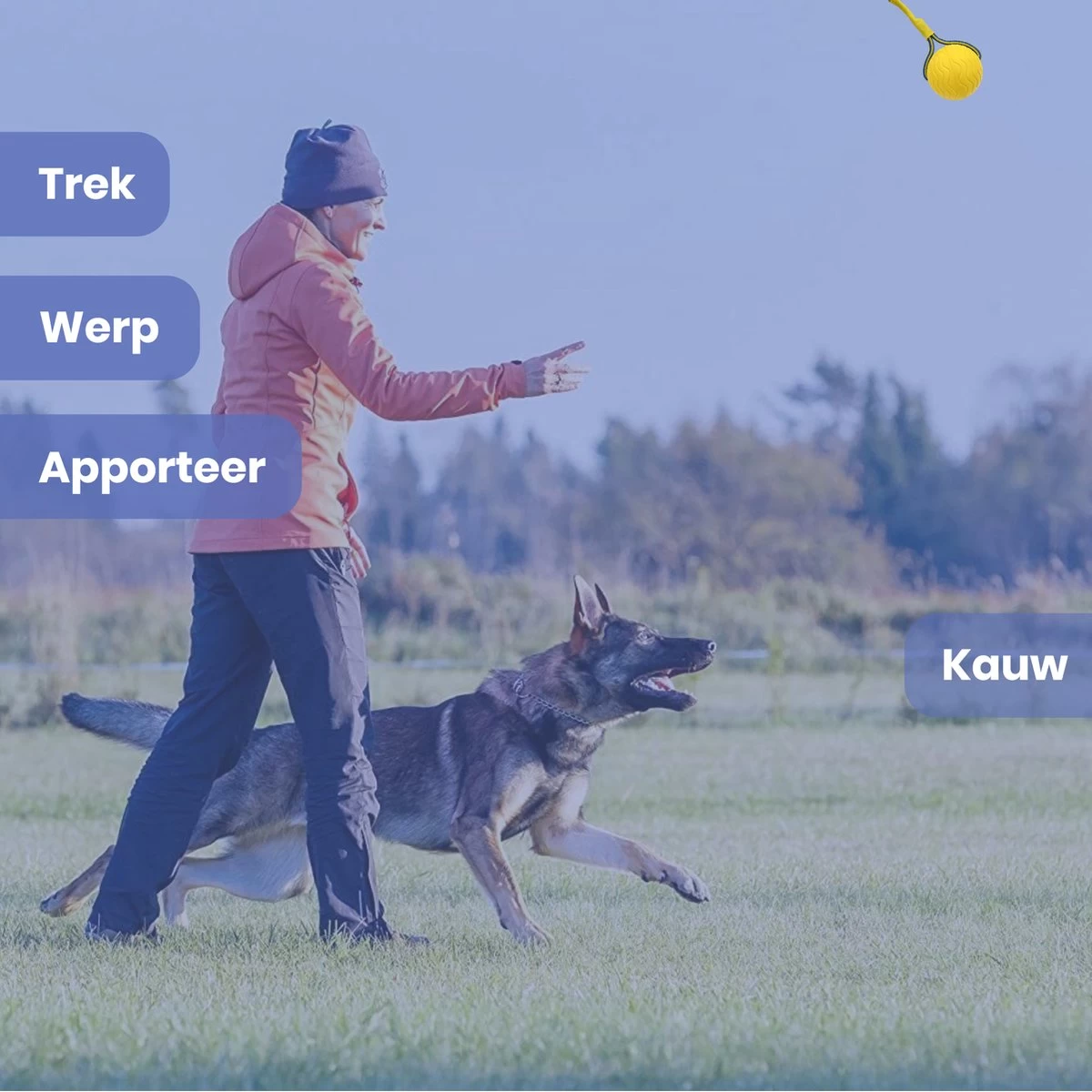 Leashr Honden Speelgoed - Bal Aan Touw - 2 Stuks - Touw - Koord - Kauwspeelgoed - Apporteer - Hond - 7 CM - Afbeelding 2