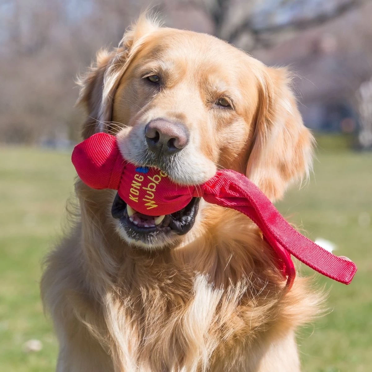 Kong Wubba XL - Piepend Speelgoed - Multi - Hondenspeelgoed - 273 X 151 X 83 Mm - Afbeelding 2