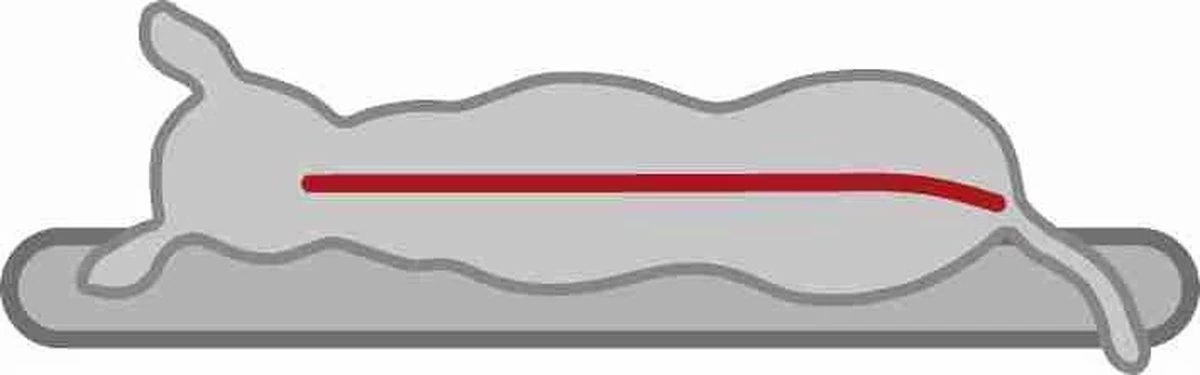 Trixie Vitaal Orthopedische Kussen Taupe/Lichtgrijs - 60 X 40 CM - Afbeelding 3