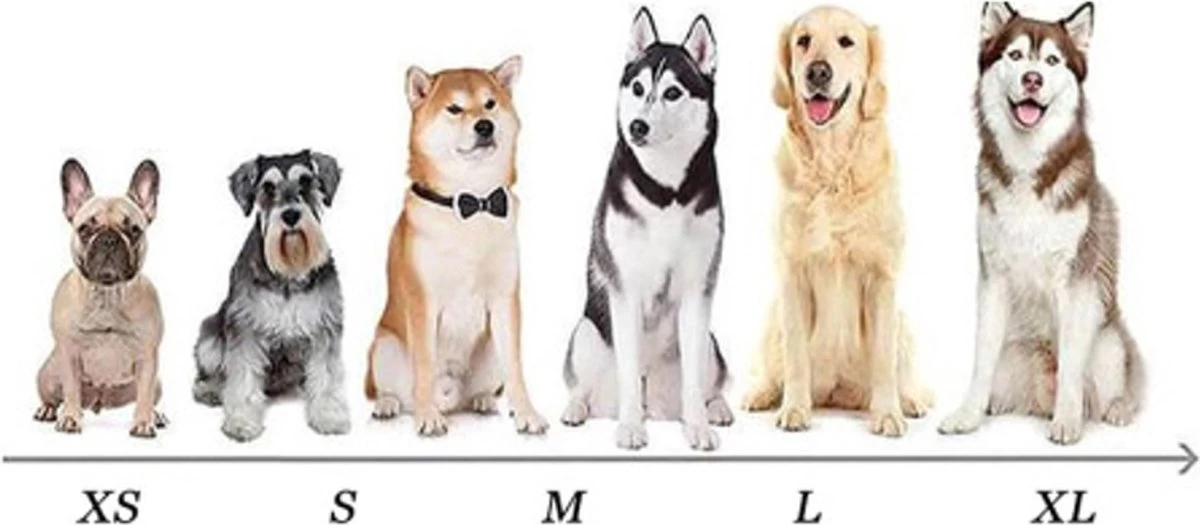 Merkloos Hondenbadjas Grijs – Maat L – Ideaal Voor Na Het Zwemmen - Afbeelding 2