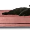 Maxxpro Katten- En Hondenbank - Roze - Verhoogd Met Houten Poten - Fluweel Materiaal - 90 X 44 X 34 CM - Huisdieren Tot 80 KG