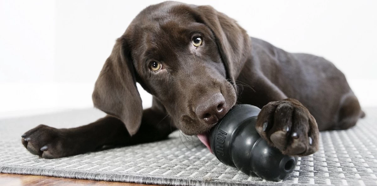 Kong Extreme - Afbeelding 14