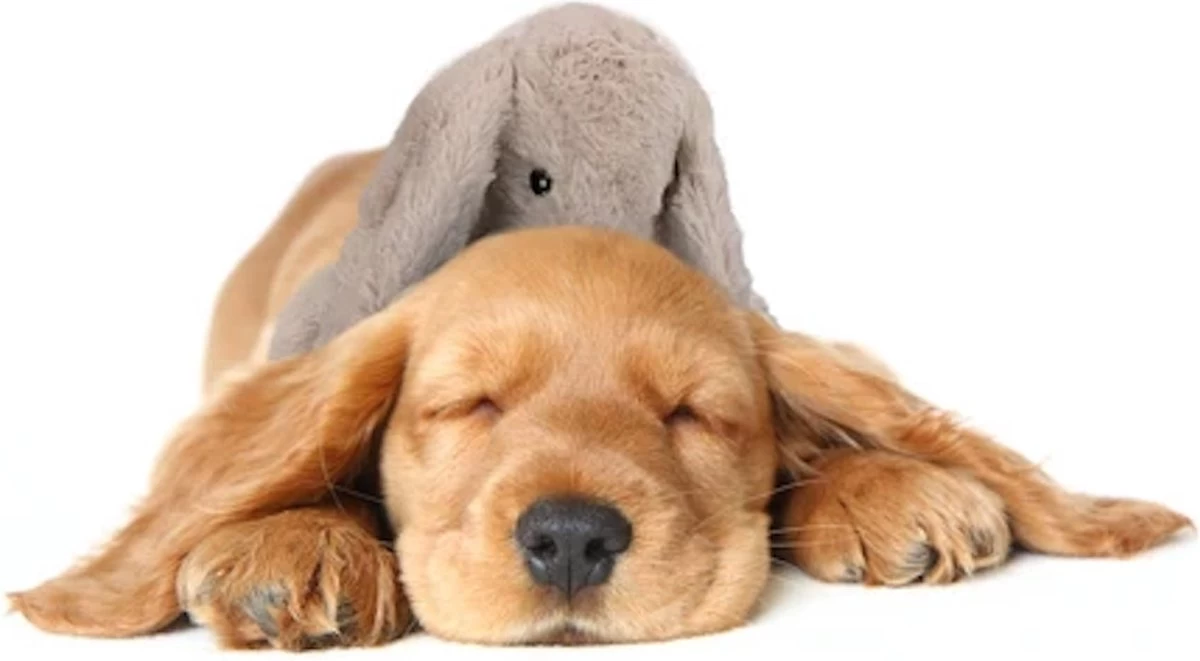 Cozy Dog Bunny Hondenknuffel – Knuffel Hond Met Hartslag – Hondenspeelgoed Vermindert Verlatingsangst – Biedt Rust, Warmte En Comfort – Bruin – Speciaal Voor Puppy's - Afbeelding 4