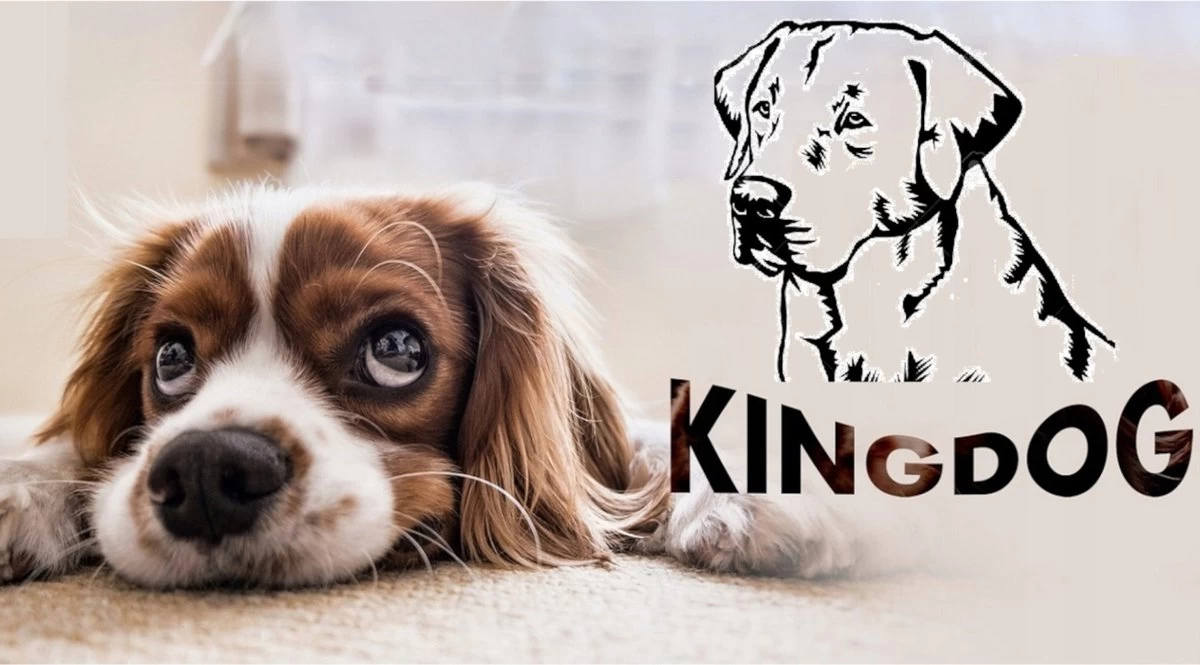 KingDog - Groot Honden- En Kattenbed 75 X 65 | Donkergrijs - Maat M - Afbeelding 6