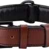 Brute Strength - Luxe Leren Halsband Hond - Bruin Met Zwarte Stiksels - XL - (56 - 63) X 3,5 Cm