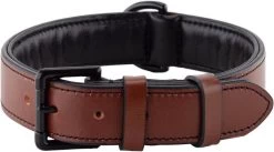 Brute Strength - Luxe Leren Halsband Hond - Bruin Met Zwarte Stiksels - XL - (56 - 63) X 3,5 Cm
