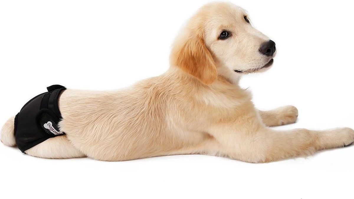 Loopsheidbroekje Hond - Zwart - Maat S - Hondenbroekje - Loopsheid Teef - Hondenluier - Wasbaar - Afbeelding 3