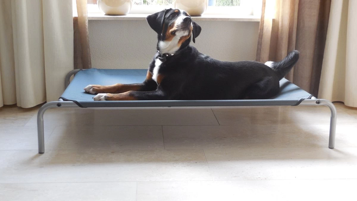 PawHut Hondenstretcher XL 110x68x19 Cm. Bruin / Grijs - Afbeelding 2