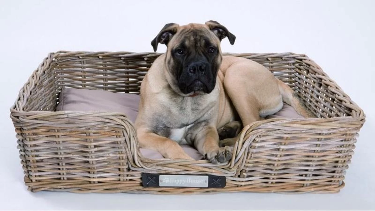Happy-House Rieten Hondenmand - XL - 90 X 70 Cm Incl Kussen - Afbeelding 6