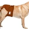 Loopsheidbroekje Hond - Bruin - Maat XL - Voor Grote Honden - Herbruikbaar - Hondenbroekje - Hondenluier - Loopsheid - Ongesteldheid - Voorkomt Ongewenste Zwangerschappen Bij Teefjes - Milieuvriendelijk - Verantwoord - Perfecte Pasvorm