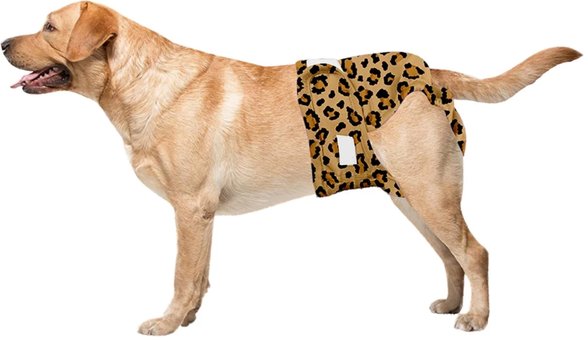 Sharon B Loopsheidbroekje Hond - Luipaard - Maat S - Wasbaar - Afbeelding 6