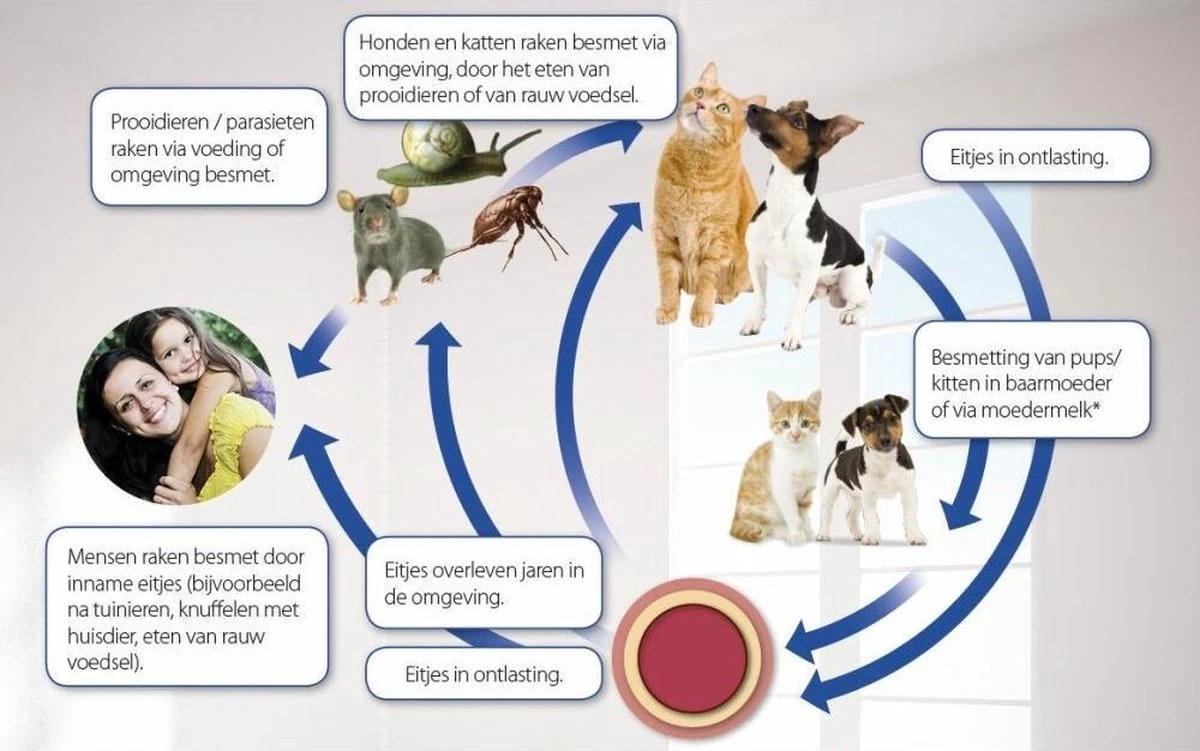 Beaphar Milquestra Ontworming Tabletten Hond 5-50kg 2 Tabletten - Afbeelding 4