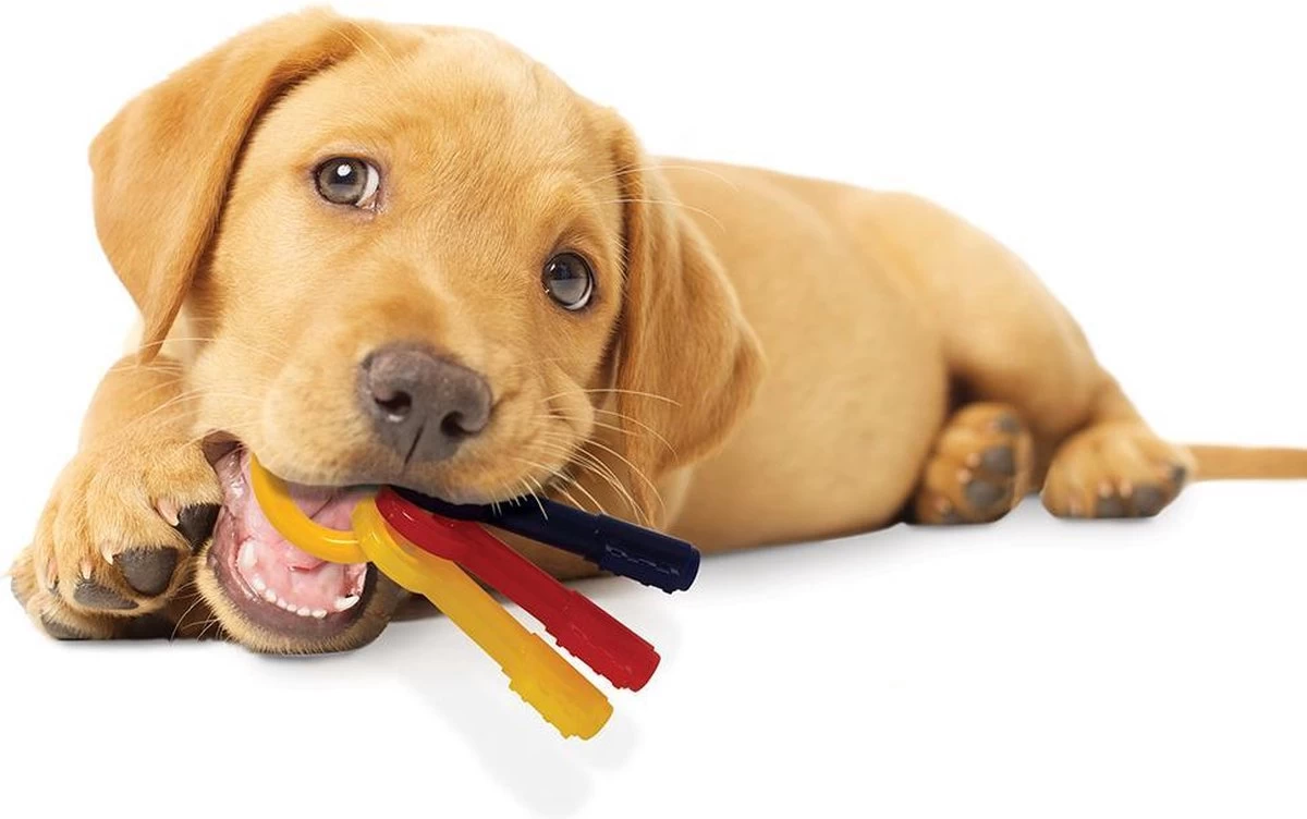 Nylabone Kauwbot - Puppy Kauwspeelgoed - Sleutels Met Baconsmaak - X-Small - Afbeelding 8