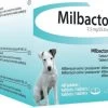 Milbactor Voor Kleine Honden En Pups - 4 Tabletten