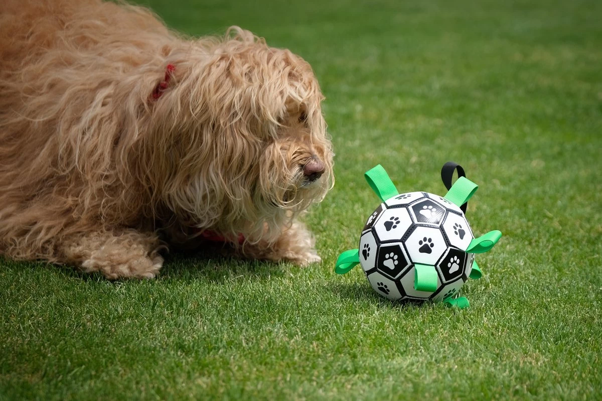 Honden Speelgoed Bal Voetbal Extra Sterk Met Handvaten Ball Hondenbal - 15 Cm - Dutchwide - Afbeelding 12