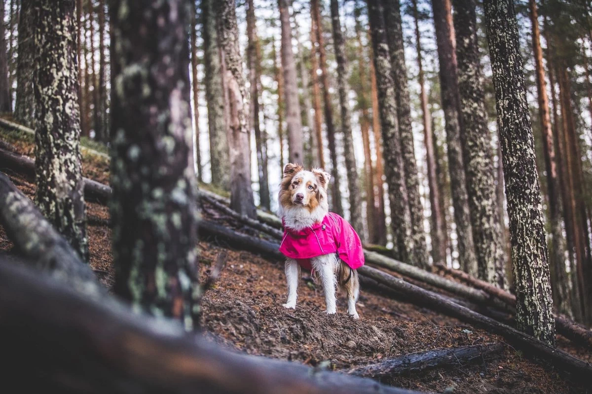 Rukka Pets Hase Raincoat - Lichtgewicht Hondenregenjas - In 2 Kleuren En 9 Maten - Kleur: Roze, Maat: Maat 40 - Afbeelding 5
