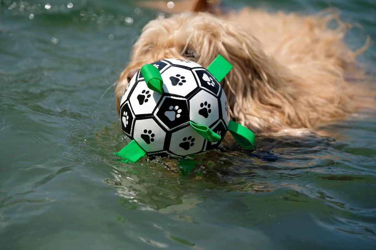 Honden Speelgoed Bal Voetbal Extra Sterk Met Handvaten Ball Hondenbal - 15 Cm - Dutchwide - Afbeelding 10