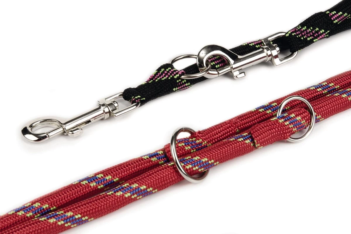 Beeztees - Hondenriem - Verstelbaar - Zwart - 200 Cm X 13 Mm - Afbeelding 2