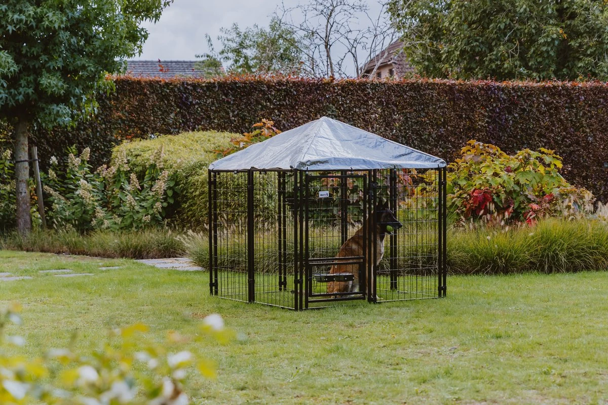 MaxxPet Hondenkennel - Hondenkennel Met Afneembaar Dak - Geschikt Voor Buiten En Binnen - 142 X 142 X 153 Cm - Afbeelding 6