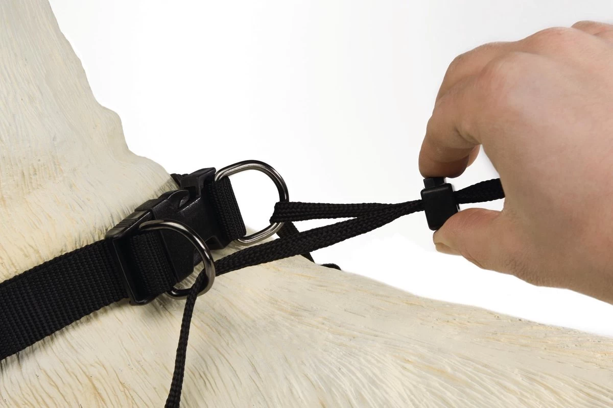 Beeztees Gentle Walker - Hondentuig - Zwart - L - Afbeelding 3