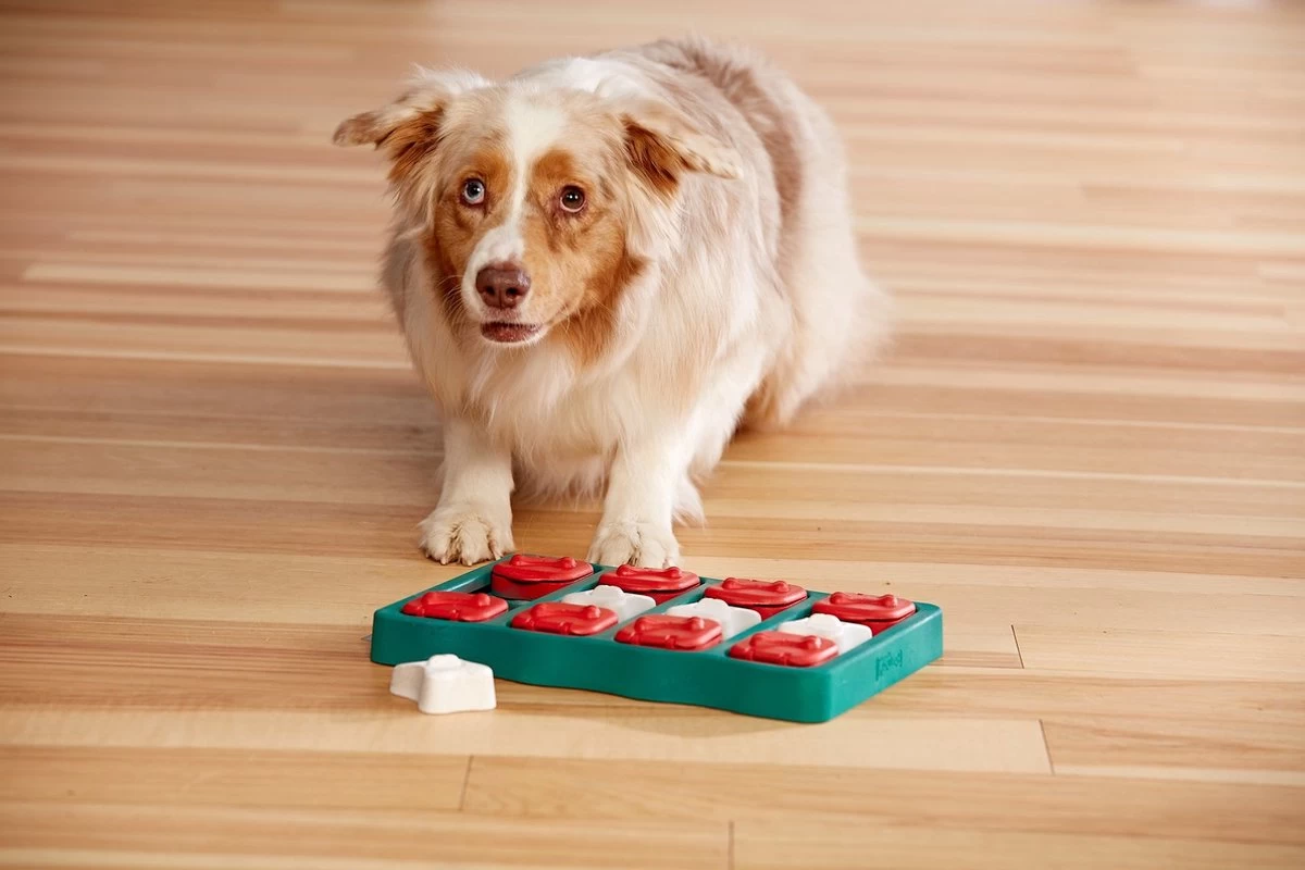 Nina Ottosson - Hondenspel - Dog Brick - Afbeelding 6