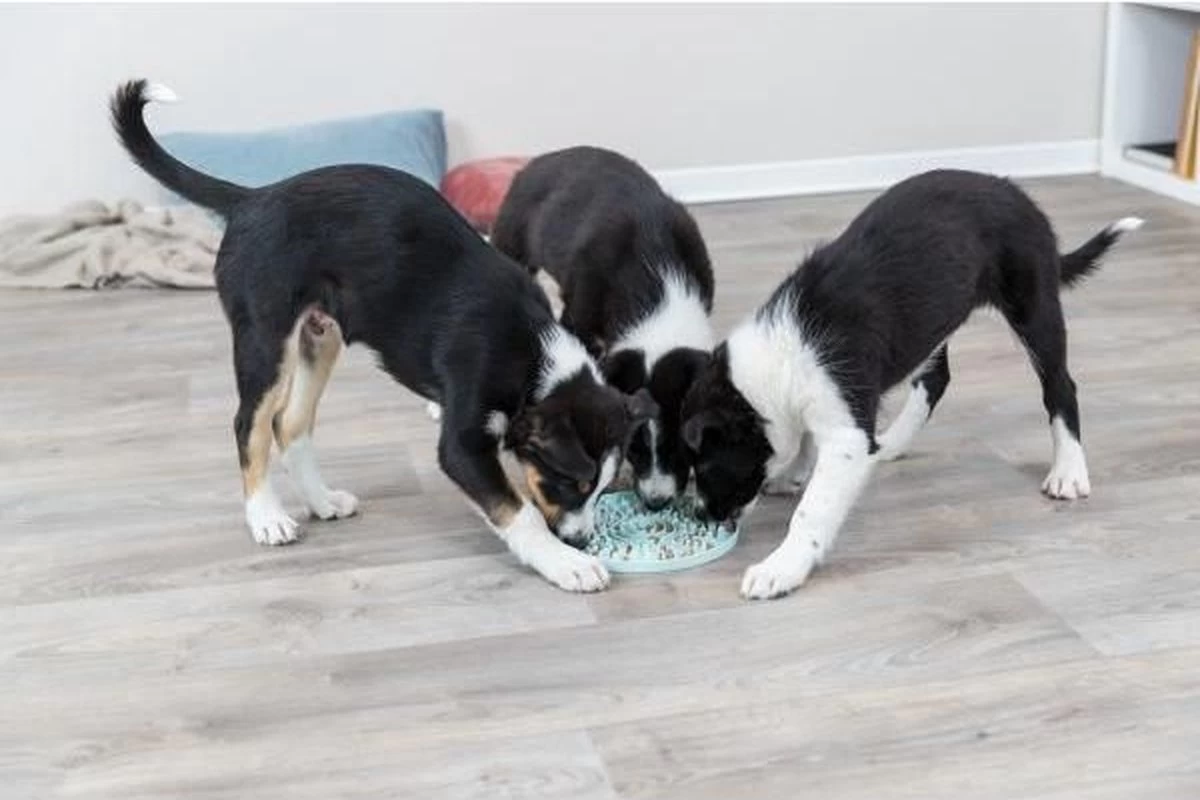 Trixie Junior Likplaat Mintgroen - 21X21 CM - Afbeelding 6