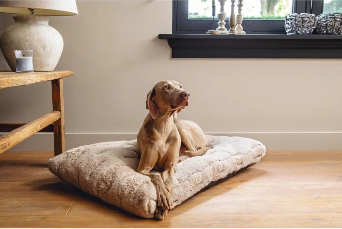 Designed By Lotte Hondenkussen Pluche Xanti Beige 100 X 68 X 5 Cm - Afbeelding 3