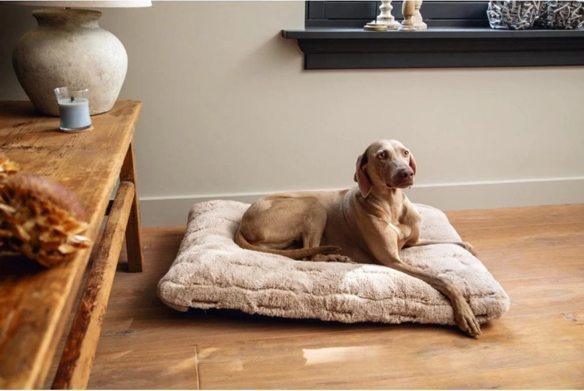 Designed By Lotte Hondenkussen Pluche Xanti Beige 100 X 68 X 5 Cm - Afbeelding 2