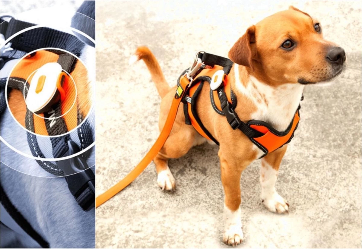 Max & Molly Matrix Ultra Led Honden Veiligheidslicht - Dierenlampje - Zwart - Afbeelding 4