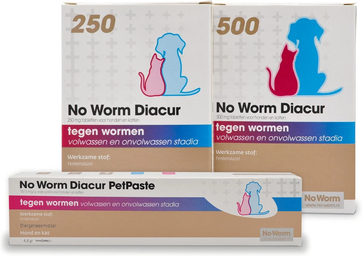No Worm Diacur PetPaste - 1 Injector - Afbeelding 4