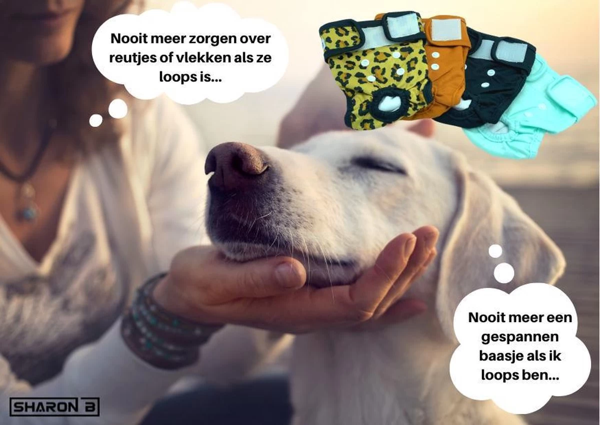 Loopsheidbroekje Hond - Bruin - Maat XL - Voor Grote Honden - Herbruikbaar - Hondenbroekje - Hondenluier - Loopsheid - Ongesteldheid - Voorkomt Ongewenste Zwangerschappen Bij Teefjes - Milieuvriendelijk - Verantwoord - Perfecte Pasvorm - Afbeelding 13