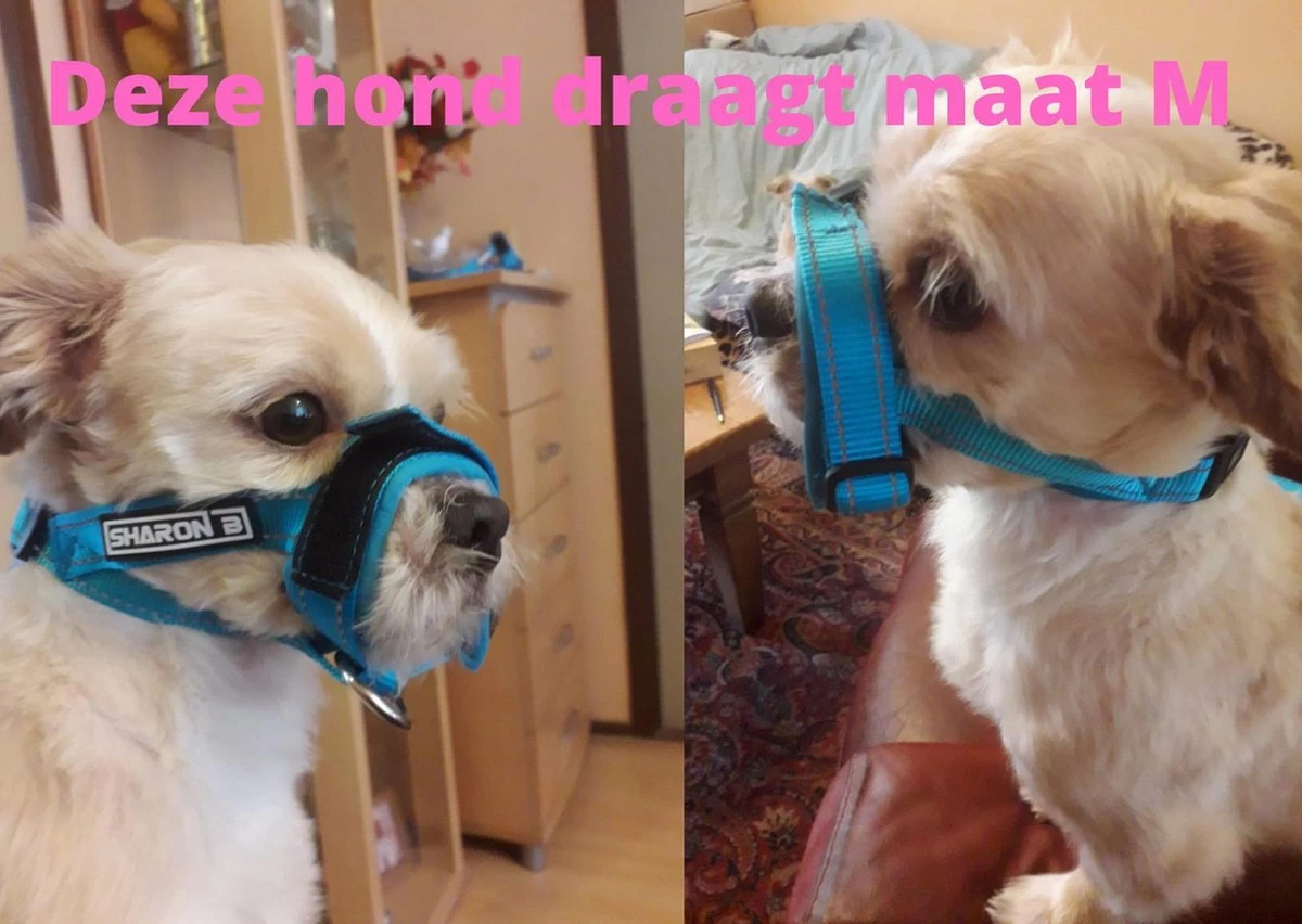 Sharon B Muilkorf Paars Maat M - Fleece - Wasbaar - Reflecterend - Afbeelding 6