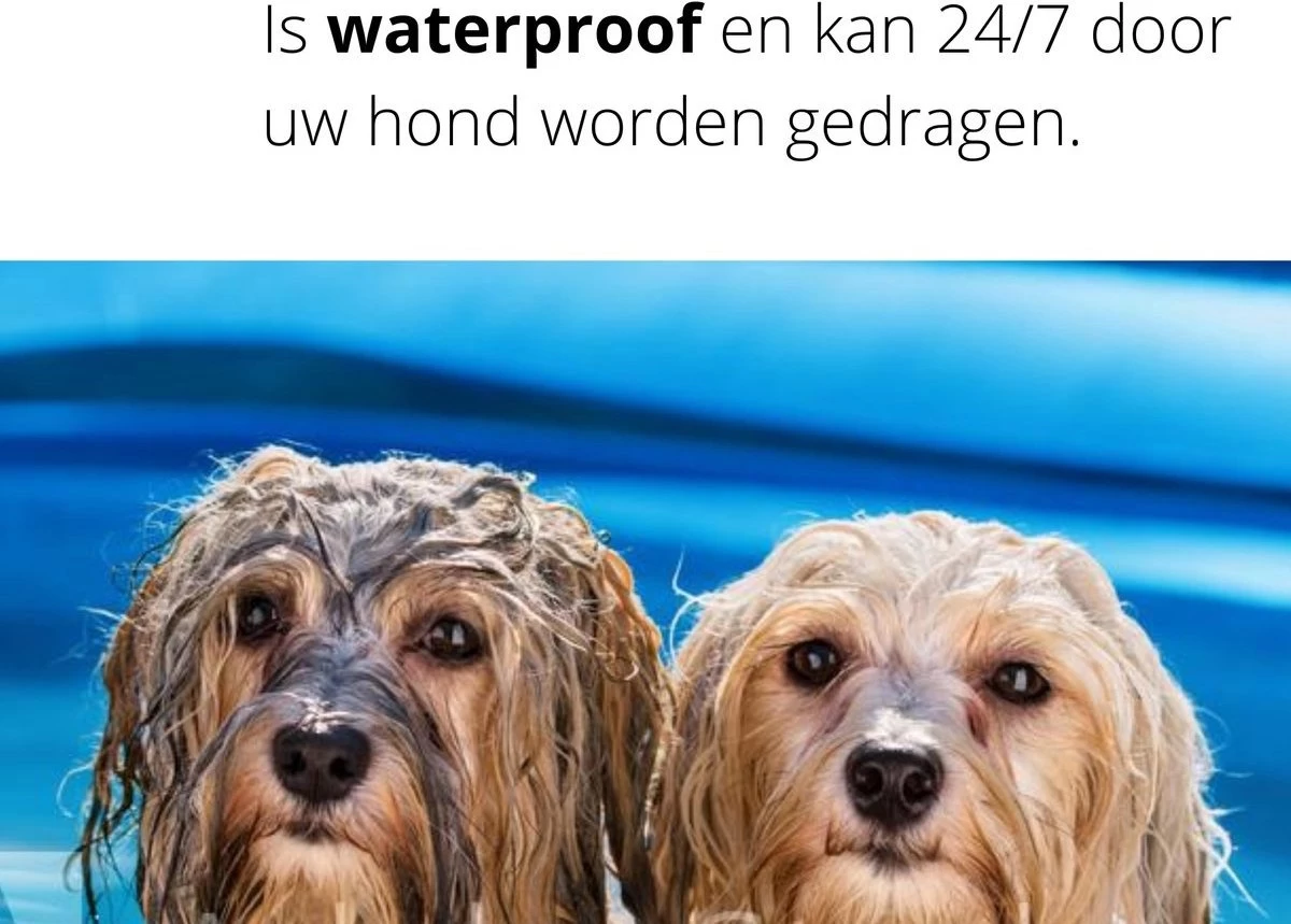 Merkloos Vlooienband Hond | Vlooien | Luizen | Teken | Mijten | 8 Maanden Bescherming | Honden - Afbeelding 2