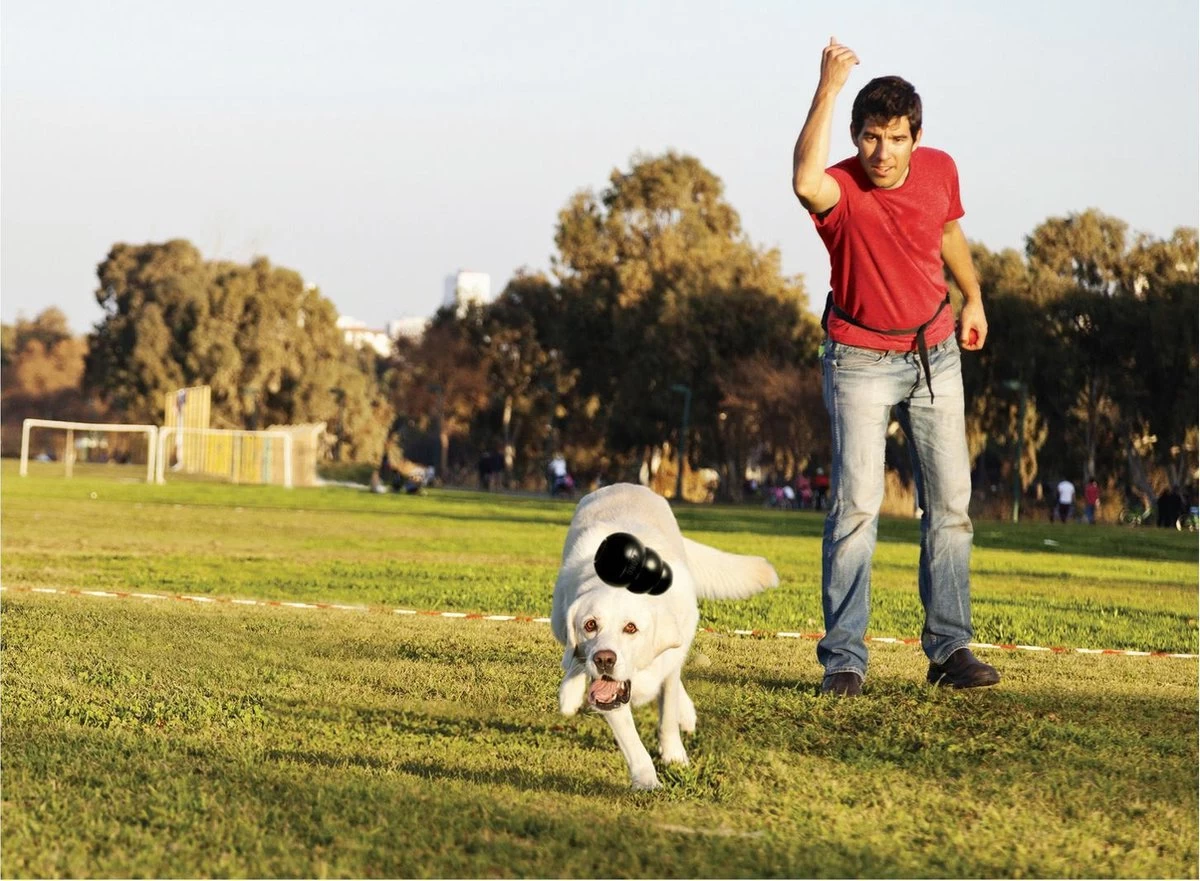 Kong Extreme - Afbeelding 20