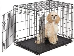 Hondenbench Basic Zwart M - Zwart - 77 X 47 X 55 Cm