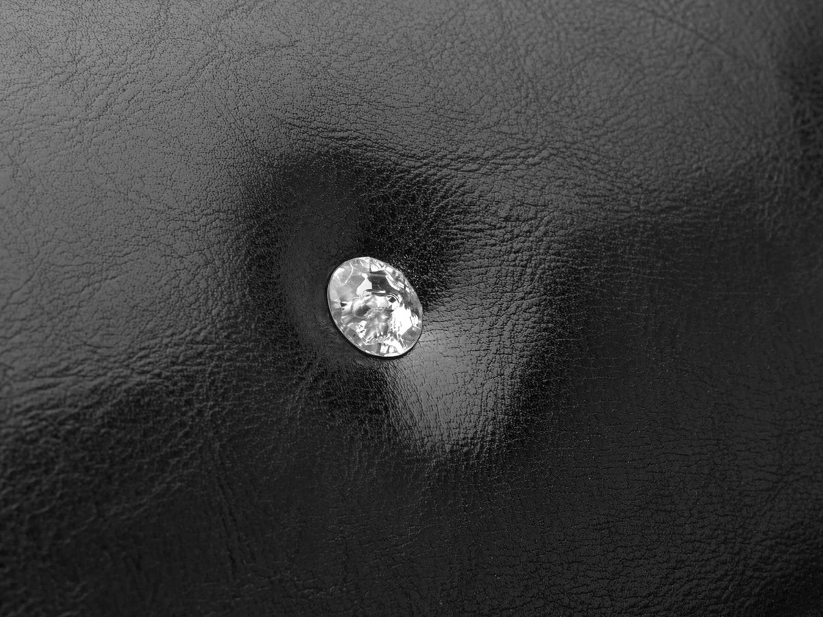 Roefie - Luxe Hondensofa CHIQUE - Zwart - Eco-leer - Afbeelding 2