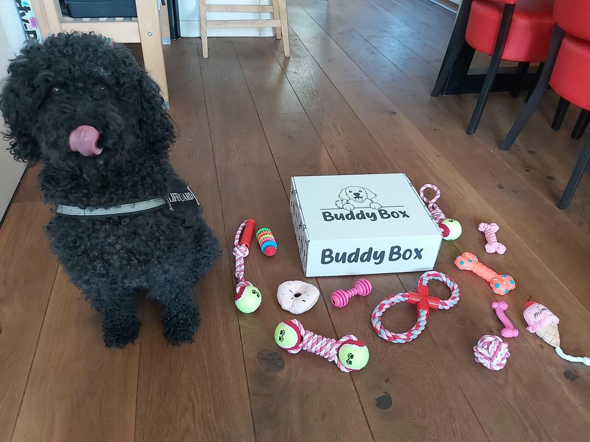 Honden Speelgoed - Puppy Speelgoed - 11 Stuks - Roze - 1 Speeltje Gratis - Honden Knuffel - Trektouw - Honden Speeltjes - Afbeelding 4