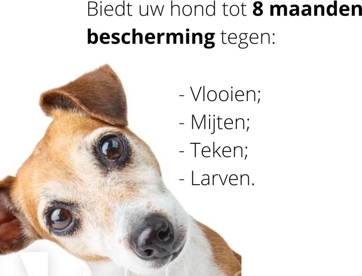 Merkloos Vlooienband Hond | Vlooien | Luizen | Teken | Mijten | 8 Maanden Bescherming | Honden - Afbeelding 3