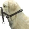 Beeztees Dog Control - Halsband Hond - Zwart - M-Speciaal