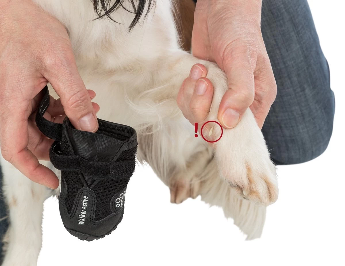 Trixie Walker Active Hondenschoen - Maat S - 2 St. - Afbeelding 20