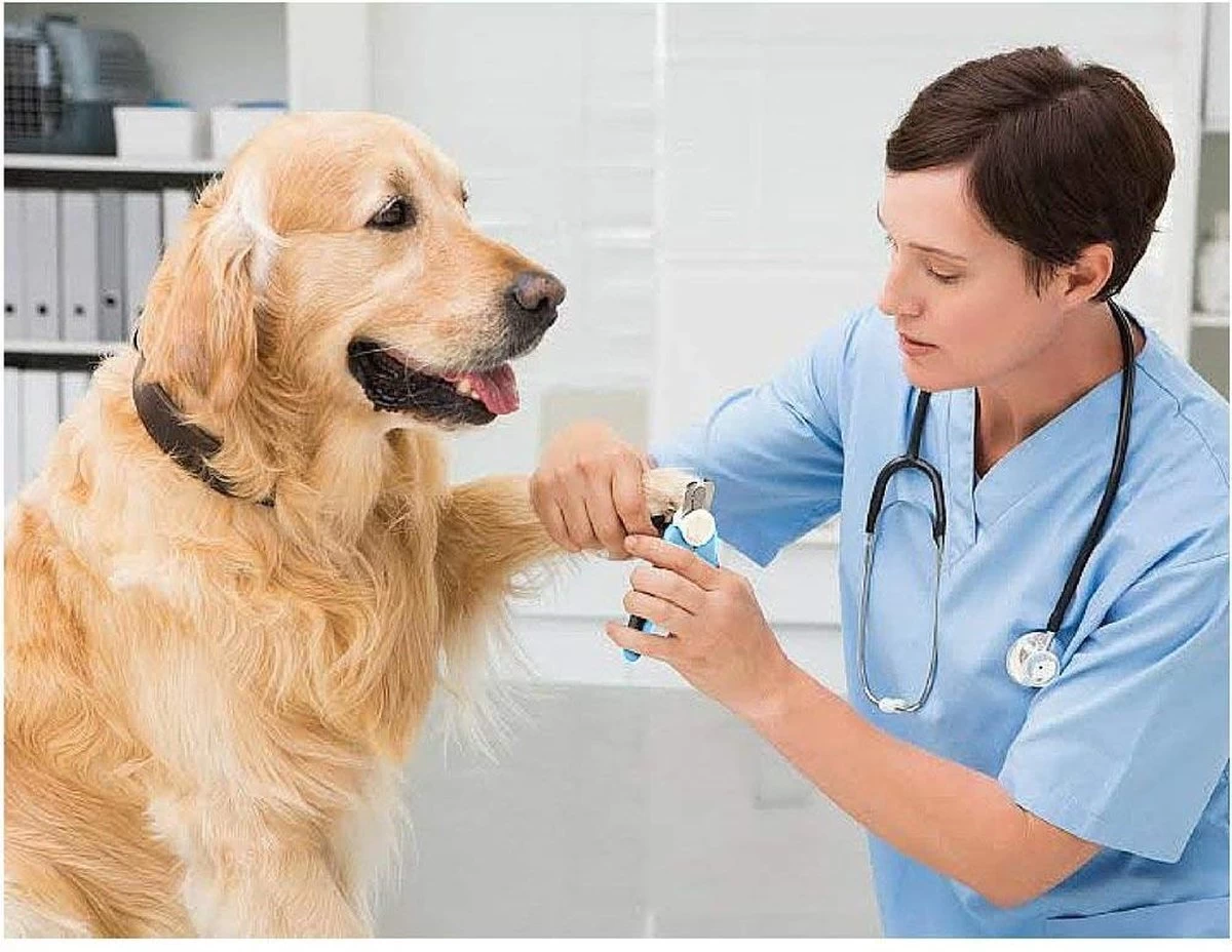 Woodoro Nagelknipper Nagelvijl Nagelschaar Voor Hond En Kat - Incl. Veiligheidsstop - Afbeelding 5