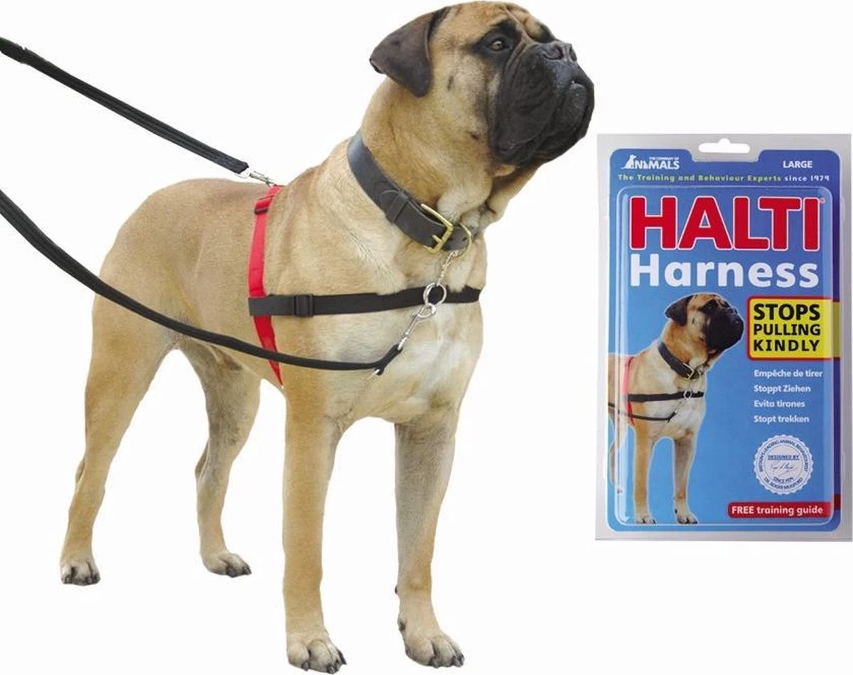 Company Of Animals Halti Harnass Anti Trektuigje - Hond - Small - Borstomvang 30 Tot 60 Cm - Rood - Afbeelding 4