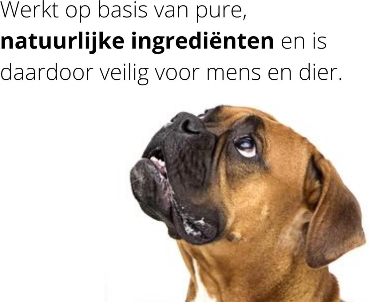 Merkloos Vlooienband Hond | Vlooien | Luizen | Teken | Mijten | 8 Maanden Bescherming | Honden - Afbeelding 4