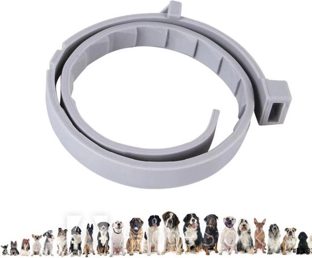 Merkloos Vlooienband Hond | Vlooien | Luizen | Teken | Mijten | 8 Maanden Bescherming | Honden